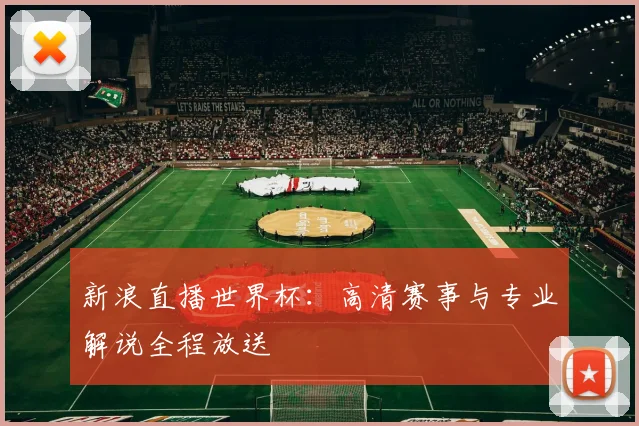 新浪直播世界杯：高清赛事与专业解说全程放送