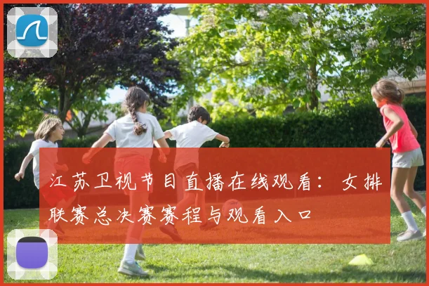 江苏卫视节目直播在线观看：女排联赛总决赛赛程与观看入口