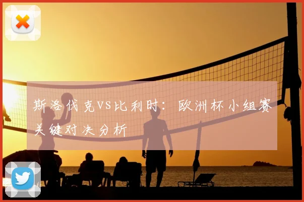 斯洛伐克vs比利时：欧洲杯小组赛关键对决分析