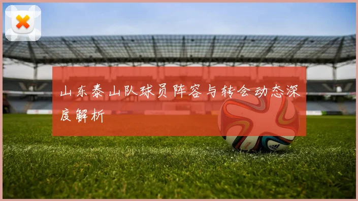 山东泰山队球员阵容与转会动态深度解析