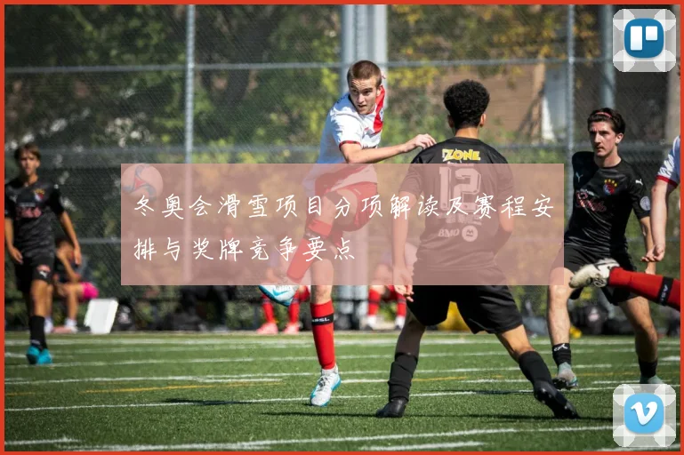冬奥会滑雪项目分项解读及赛程安排与奖牌竞争要点
