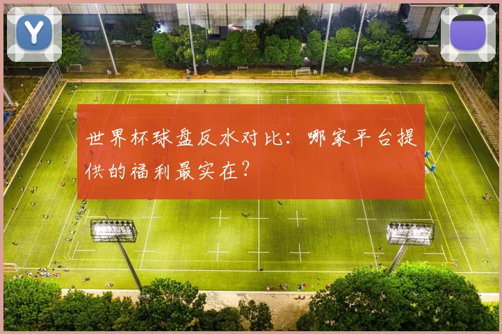 世界杯球盘反水对比:哪家平台提供的福利最实在?