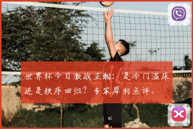 世界杯今日激战正酣:是冷门温床还是秩序回归?专家犀利点评。