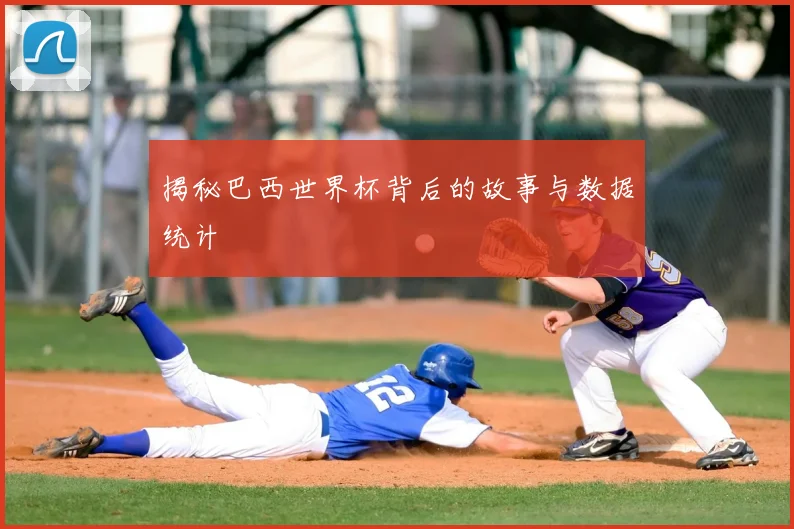 揭秘巴西世界杯背后的故事与数据统计