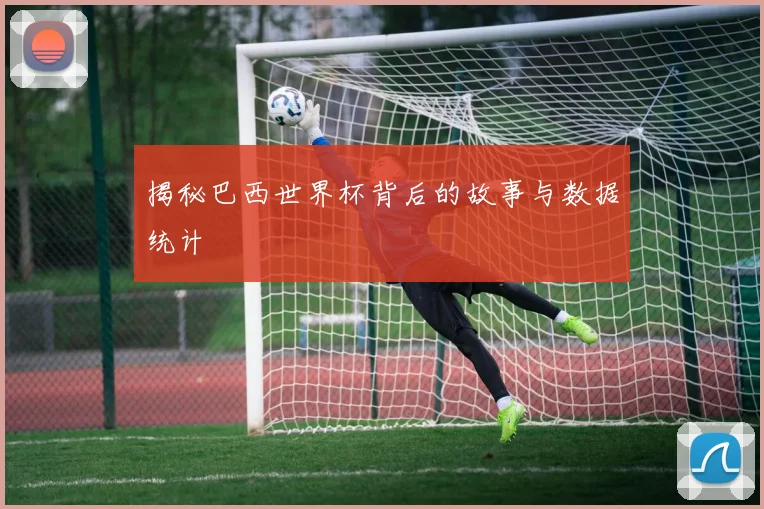 揭秘巴西世界杯背后的故事与数据统计