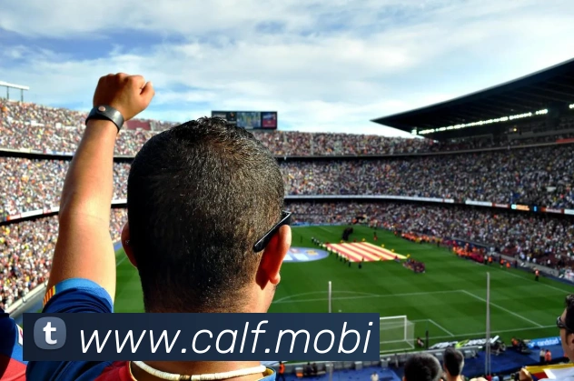 mk中国官网入口发展历程